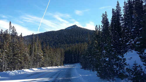 A snowy road leads into an evergreen forest, with the peak of Mestaa'ehehe Mountain in the background.