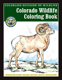 Colorado Wildlife Coloring Book