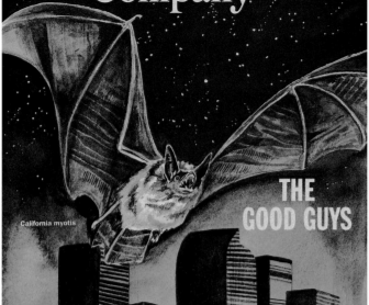 Colorado Bats: The Good Guys